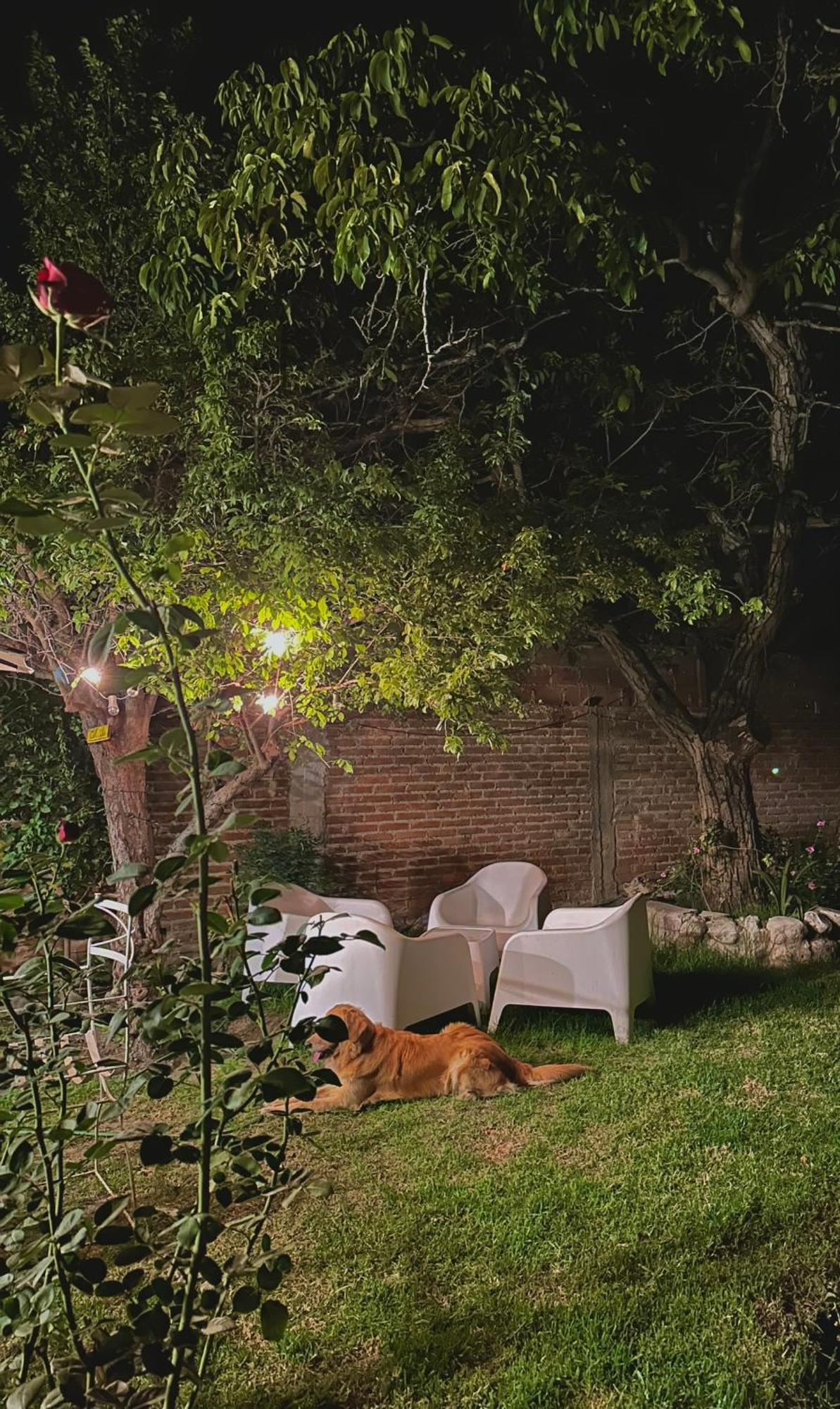Casa Los Nogales Villa Cafayate Kültér fotó
