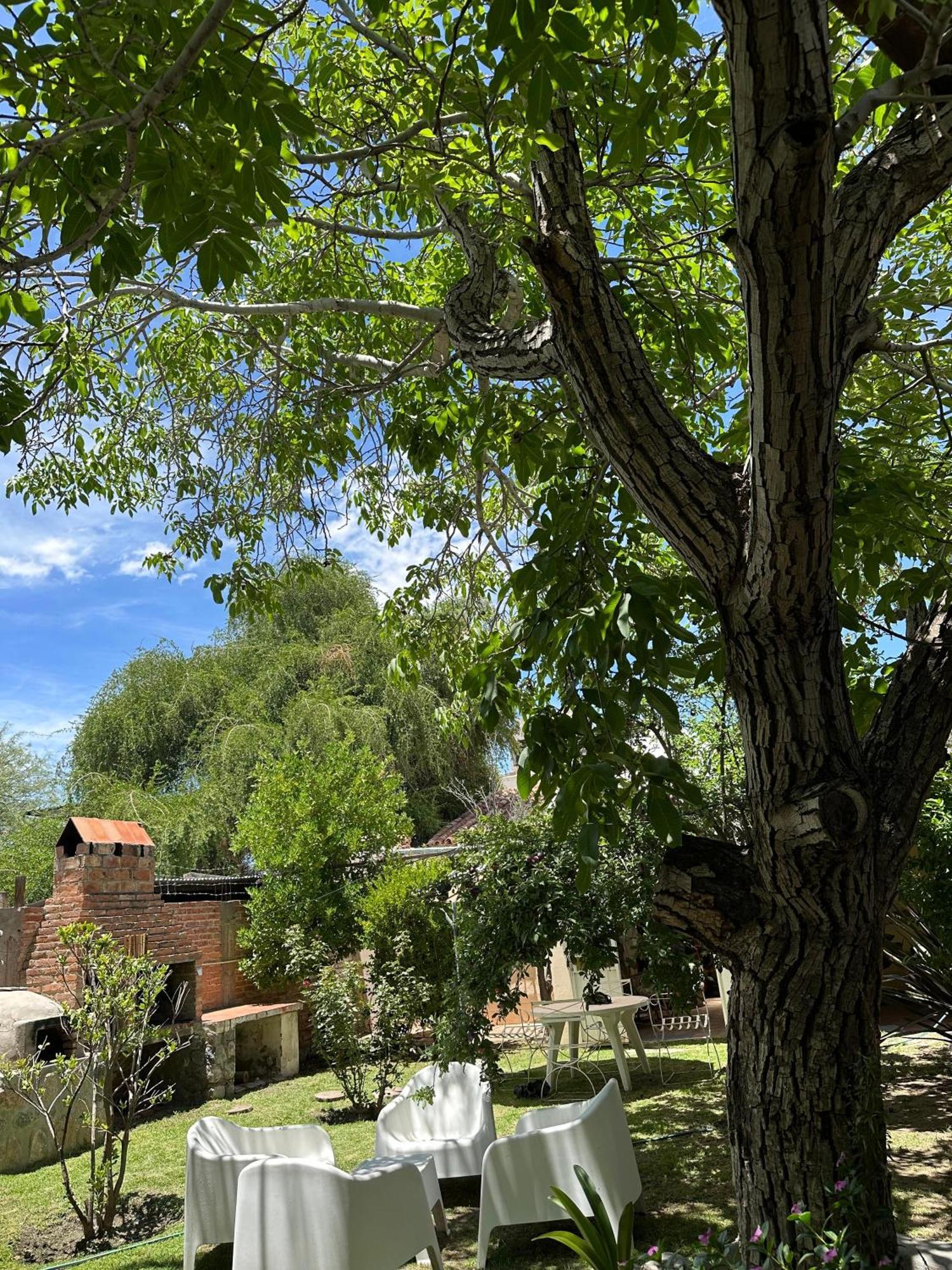 Casa Los Nogales Villa Cafayate Kültér fotó
